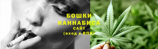 PSILOCYBIN Белокуриха